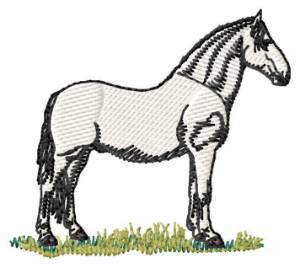 Picture of Lipizzaner Machine Embroidery Design