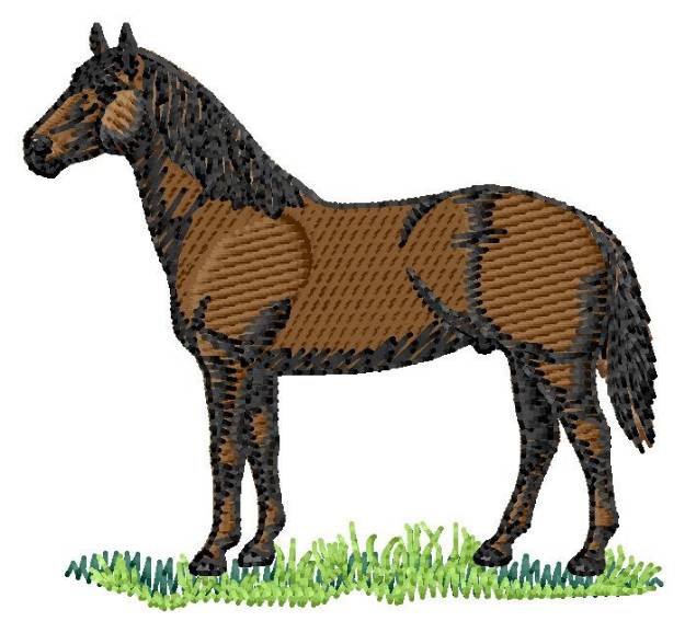 Picture of Quarter Horse #2 Machine Embroidery Design