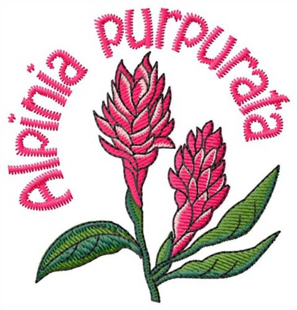 Picture of Alpinia Purpurata Machine Embroidery Design