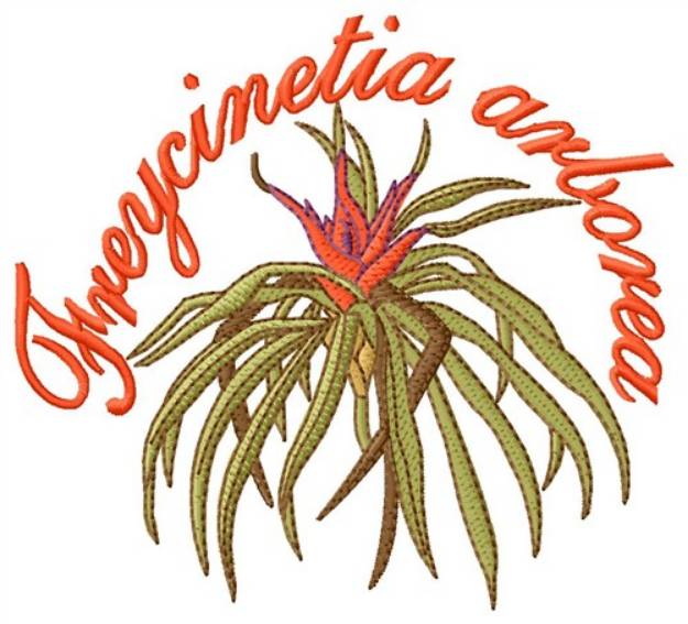 Picture of Freycinetia Arborea Machine Embroidery Design