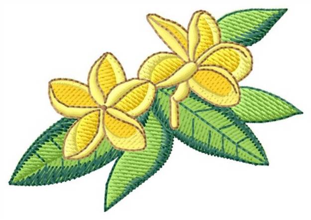 Picture of Plumeria Machine Embroidery Design