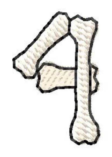 Picture of Bones Number 4 Machine Embroidery Design