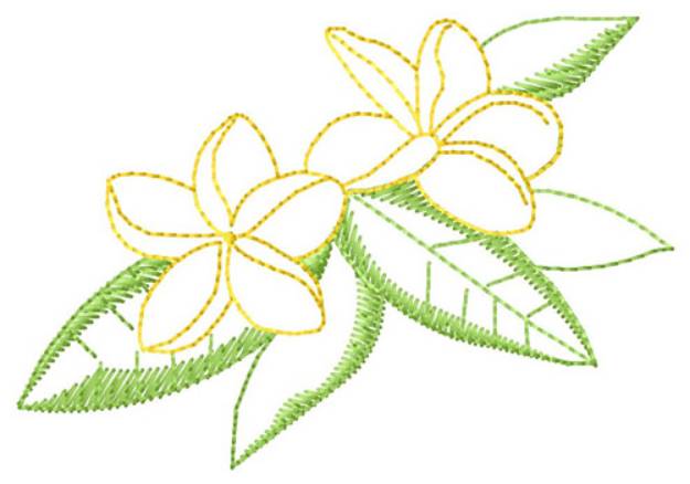 Picture of Plumeria Machine Embroidery Design