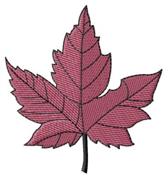 Picture of Maple Leaf Machine Embroidery Design