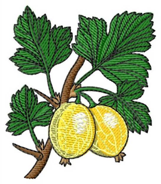 Picture of Gooseberries Machine Embroidery Design