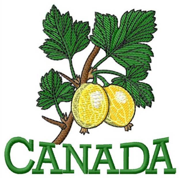 Picture of Canada Gooseberries Machine Embroidery Design