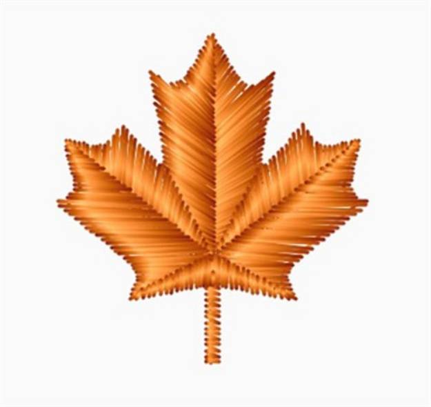 Picture of Canadian Maple Leaf Machine Embroidery Design