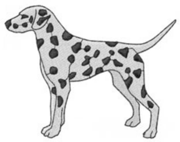 Picture of Dalmation Machine Embroidery Design