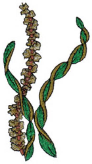 Picture of Trio Of Seaweed Machine Embroidery Design