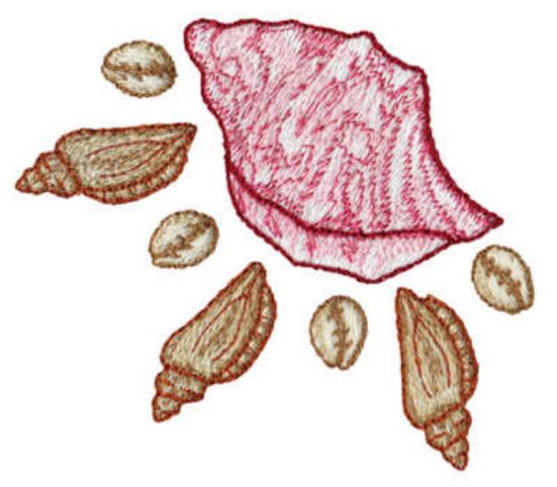 Picture of Seashells Machine Embroidery Design