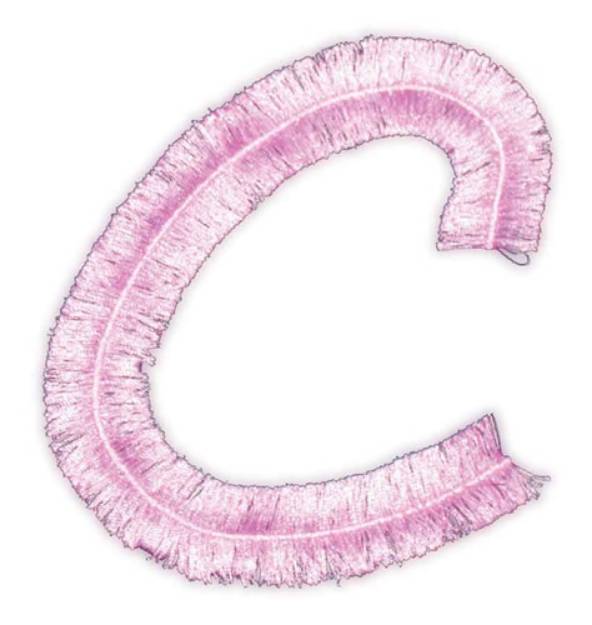 Picture of Script Fringe Letter C Machine Embroidery Design