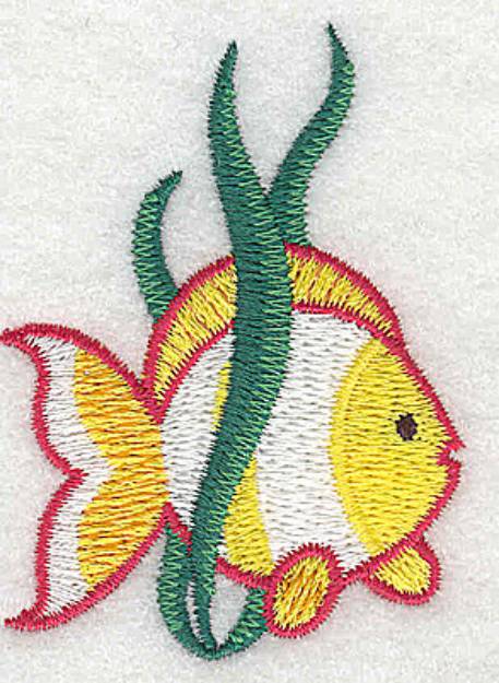 Picture of Tropical Fish Machine Embroidery Design