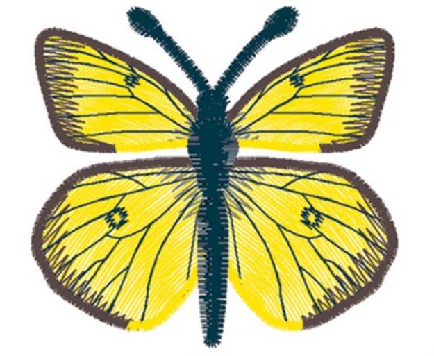 Picture of Clouded Sulphur Butterfly Machine Embroidery Design