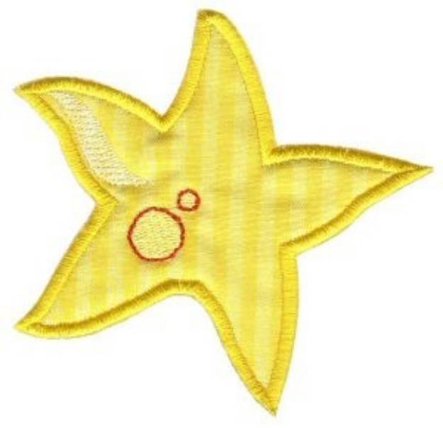 Picture of Starfish Sea Squirts Applique Machine Embroidery Design