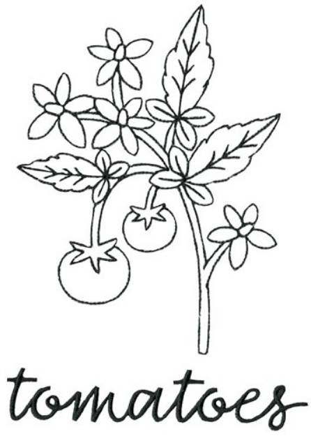 Picture of Tomato Vine Outline Machine Embroidery Design