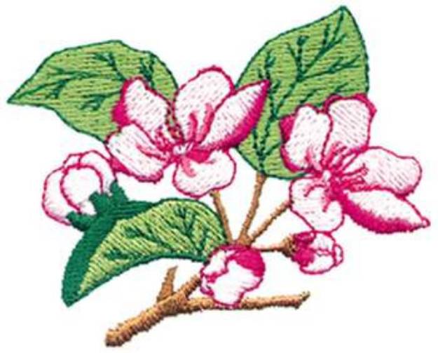 Picture of Apple Blossoms Machine Embroidery Design