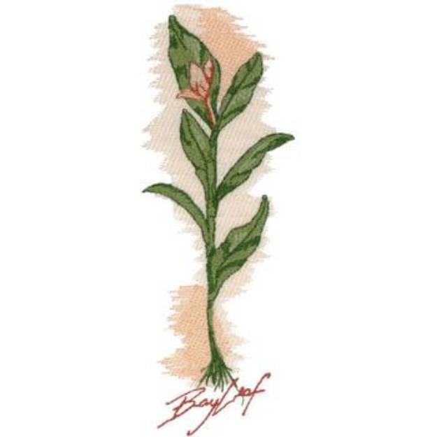 Picture of Bay Leaf Machine Embroidery Design