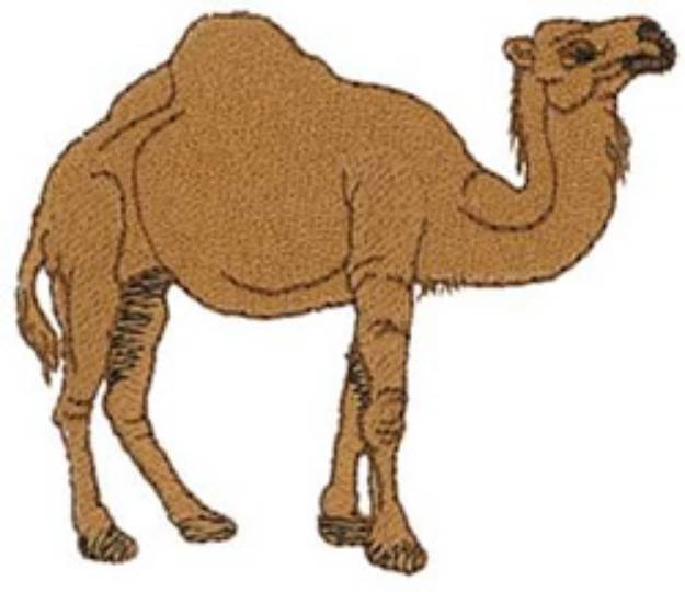 Picture of Dromedary Machine Embroidery Design