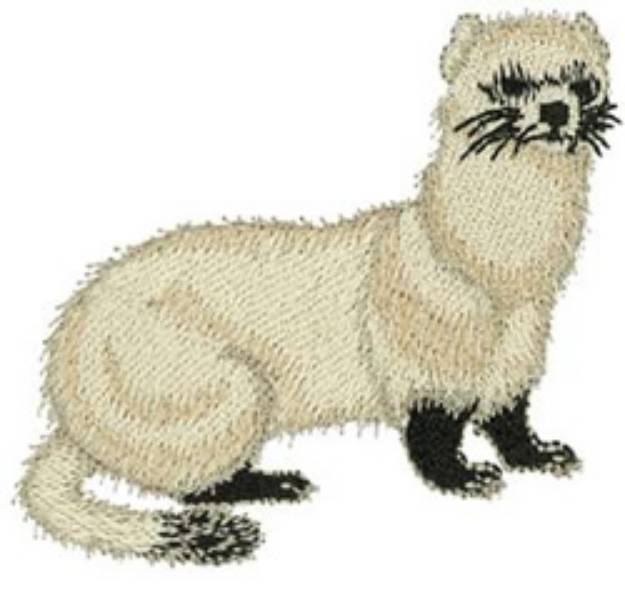 Picture of Black-Footed Ferret Machine Embroidery Design