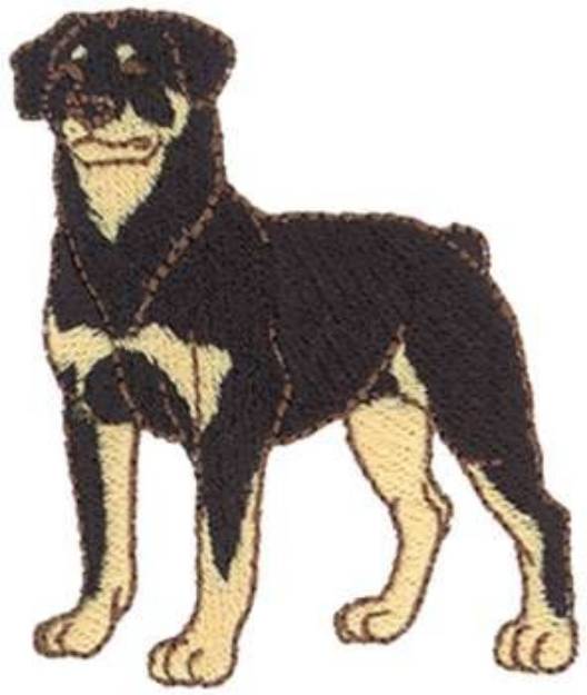 Picture of Rottweiler Machine Embroidery Design