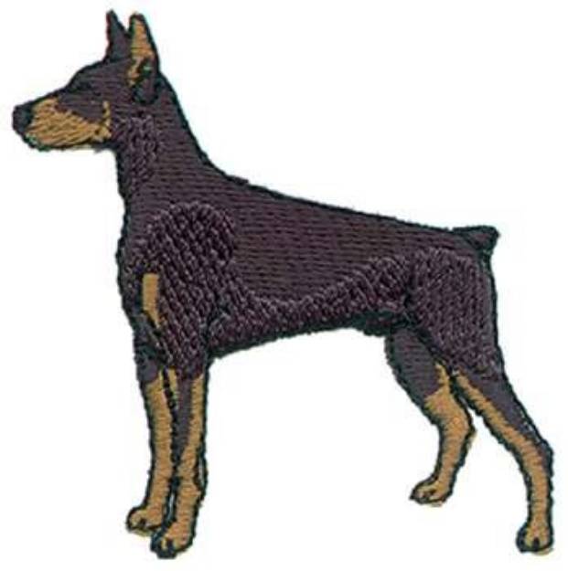 Picture of Doberman Machine Embroidery Design