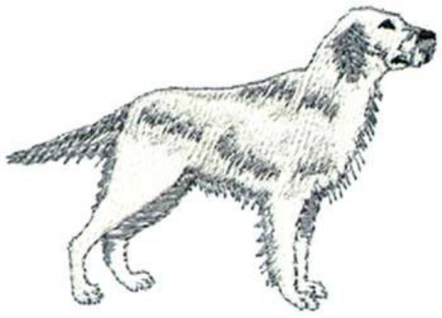 Picture of English Setter Machine Embroidery Design