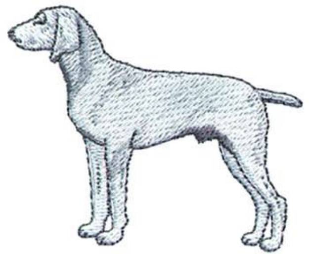 Picture of Weimaraner Machine Embroidery Design