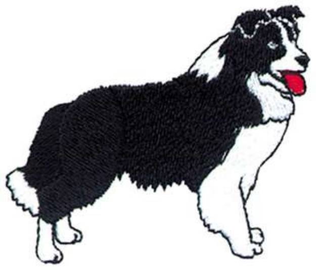 Picture of Border Collie Machine Embroidery Design