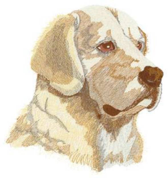 Picture of Golden Retriever Head Machine Embroidery Design