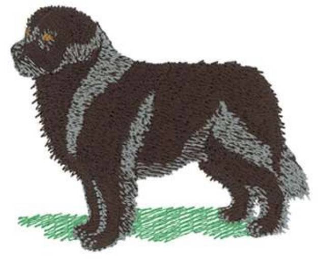 Picture of Newfoundland Machine Embroidery Design