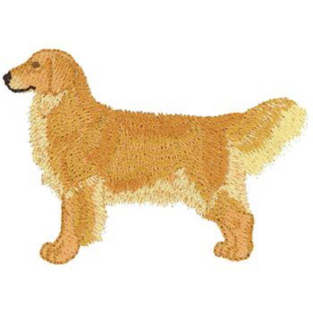 Picture of Golden Retriever Machine Embroidery Design