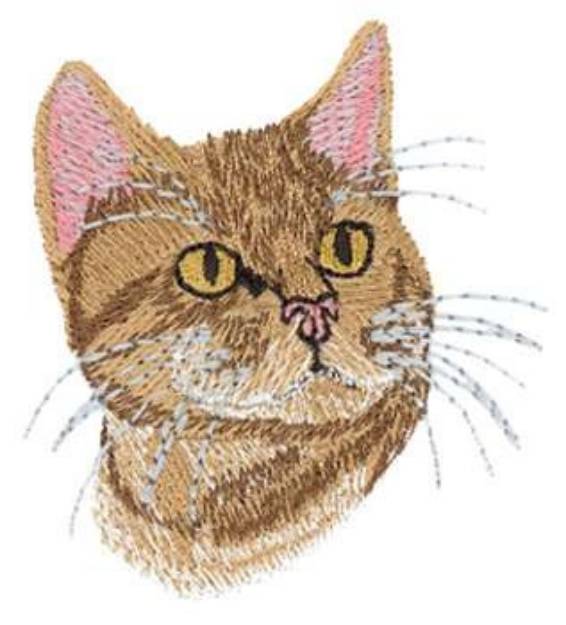 Picture of Bengal Machine Embroidery Design