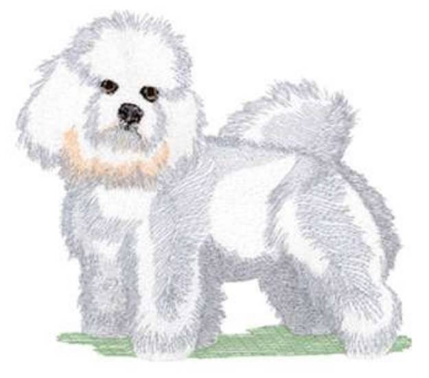 Picture of Bichon Frise Machine Embroidery Design