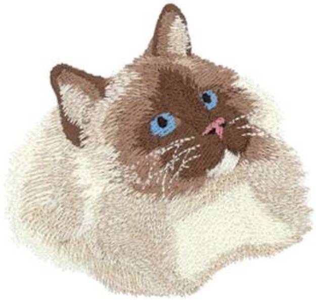 Picture of Ragdoll Machine Embroidery Design