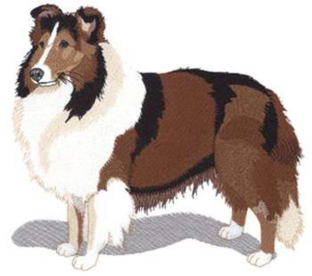 Picture of Shetland Sheepdog Machine Embroidery Design