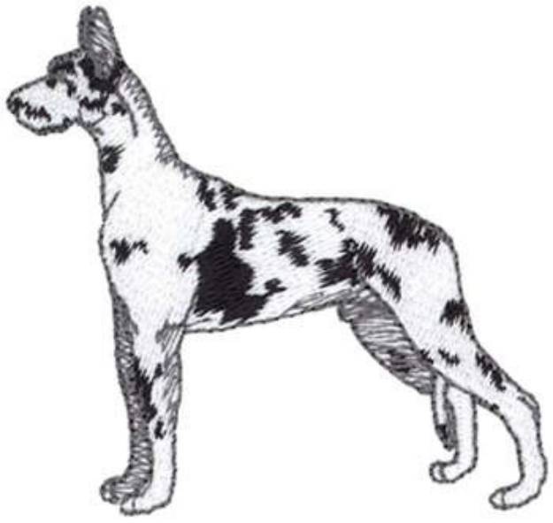 Picture of Harlequin Dane Machine Embroidery Design