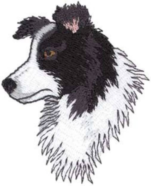 Picture of Border Collie Machine Embroidery Design