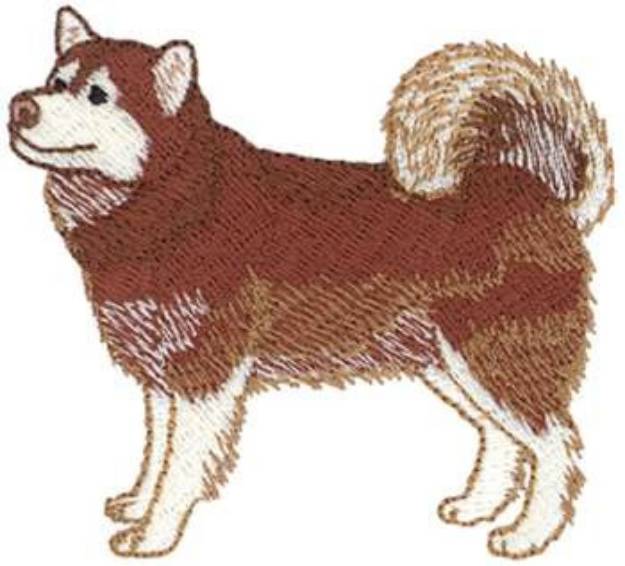 Picture of Red Malamute Machine Embroidery Design