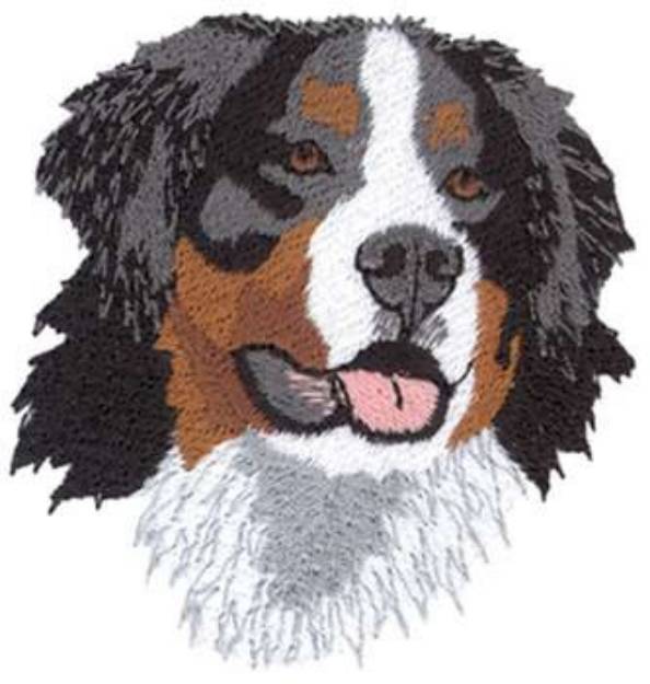 Picture of Bernese Mountain Dog Machine Embroidery Design