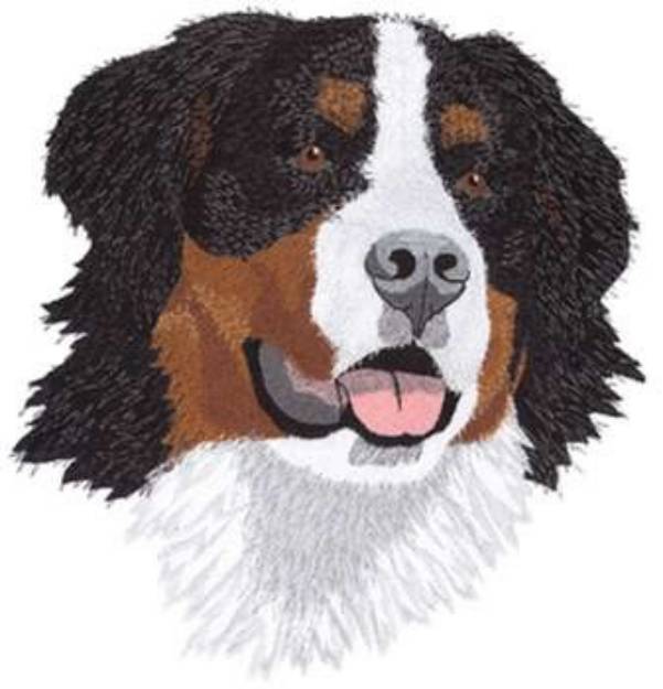 Picture of Bernese Mountain Dog Machine Embroidery Design