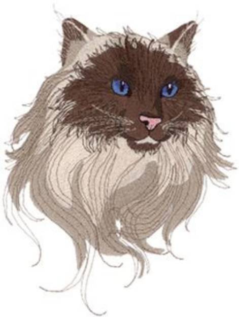 Picture of Birman Cat Machine Embroidery Design