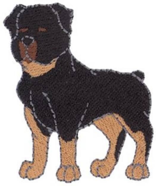 Picture of Rottweiler Machine Embroidery Design