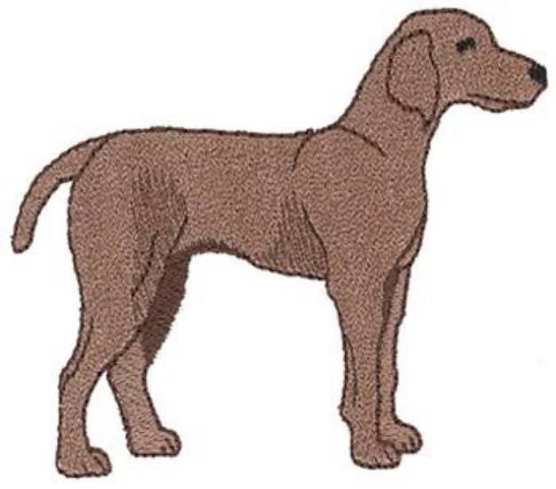 Picture of Weimaraner Machine Embroidery Design