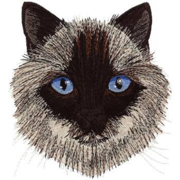 Picture of Ragdoll Cat Machine Embroidery Design