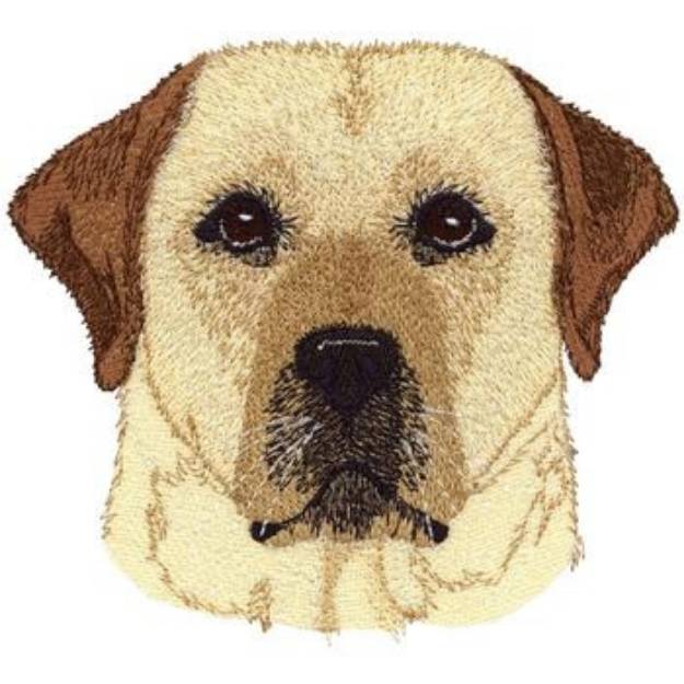 Picture of Labrador Retriever Machine Embroidery Design