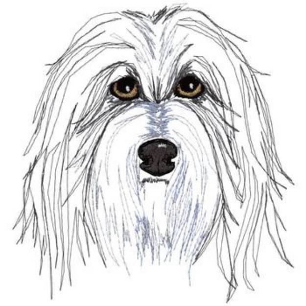 Picture of Bearded Collie Machine Embroidery Design