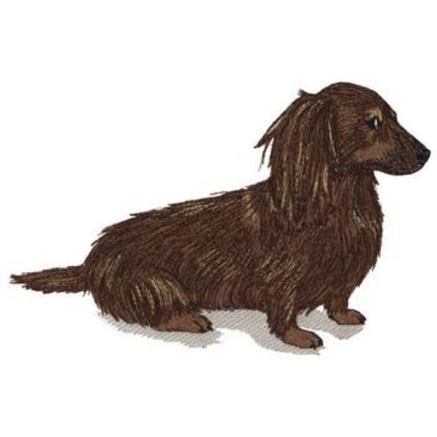 Picture of Long Haired Dachshund Machine Embroidery Design