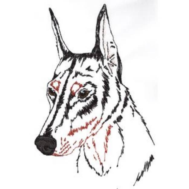 Picture of Doberman Pinscher Machine Embroidery Design