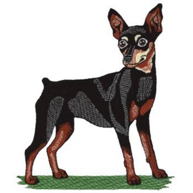 Picture of Miniature Pinscher Machine Embroidery Design