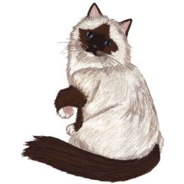 Picture of Ragdoll Machine Embroidery Design